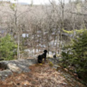 Meet your Posher, Liam